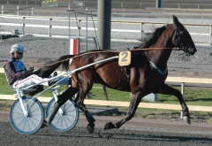 Yarrah Boko. Foto; A.Lindblom/Travkompaniet